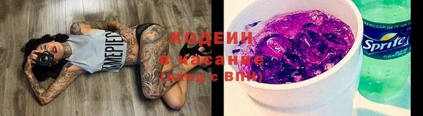 ГАЛЛЮЦИНОГЕННЫЕ ГРИБЫ Алексин