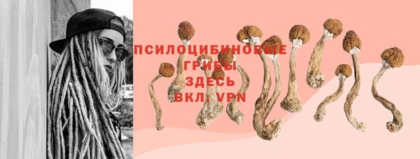 ГАЛЛЮЦИНОГЕННЫЕ ГРИБЫ Алексин