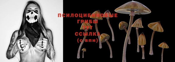 круглые Алзамай