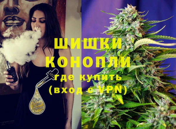 ГАЛЛЮЦИНОГЕННЫЕ ГРИБЫ Алексин