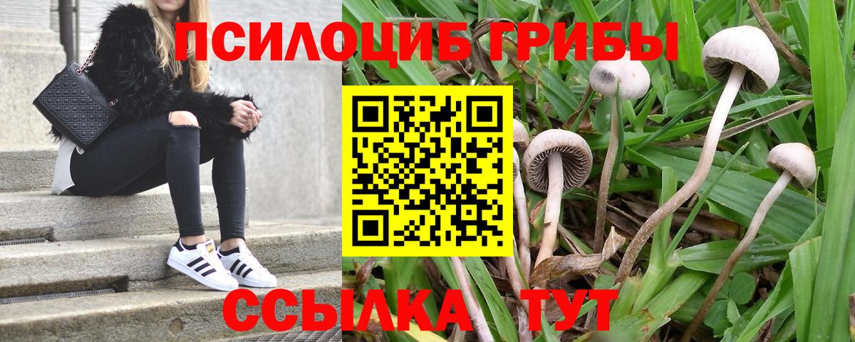 КОКАИН  Гашиш  Борзя  APVP СОЛЬ кристаллы  ЭКСТАЗИ  Мефедрон   Марихуана  Гашиш  Вход с VPN 