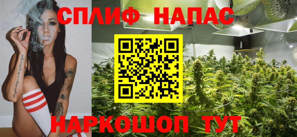 Шишки марихуана семена Борзя